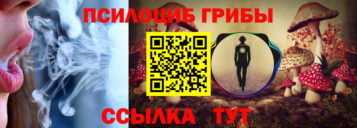 Соль-Илецк  Галлюциногенные грибы Magic Shrooms  Галлюциногенные грибы мицелий  Вход с VPN 